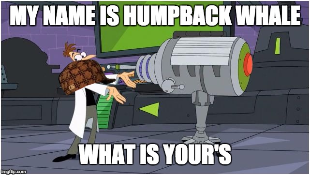 Behold Dr. Doofenshmirtz | MY NAME IS HUMPBACK WHALE; WHAT IS YOUR'S | image tagged in behold dr doofenshmirtz,scumbag | made w/ Imgflip meme maker