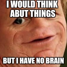 no brainer | I WOULD THINK ABUT THINGS; BUT I HAVE NO BRAIN | image tagged in brain | made w/ Imgflip meme maker