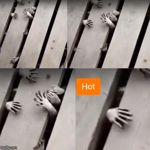 Raccoon Hands | image tagged in raccoon hands | made w/ Imgflip meme maker