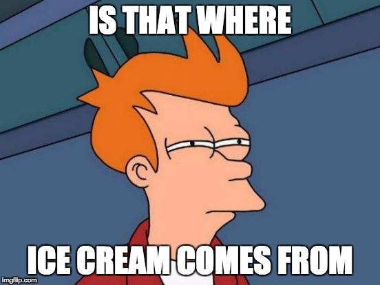 IS THAT WHERE ICE CREAM COMES FROM | image tagged in memes,futurama fry | made w/ Imgflip meme maker