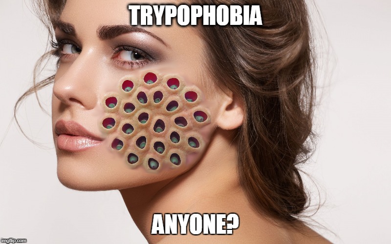 trypophobia | TRYPOPHOBIA; ANYONE? | image tagged in trypophobia,holes | made w/ Imgflip meme maker