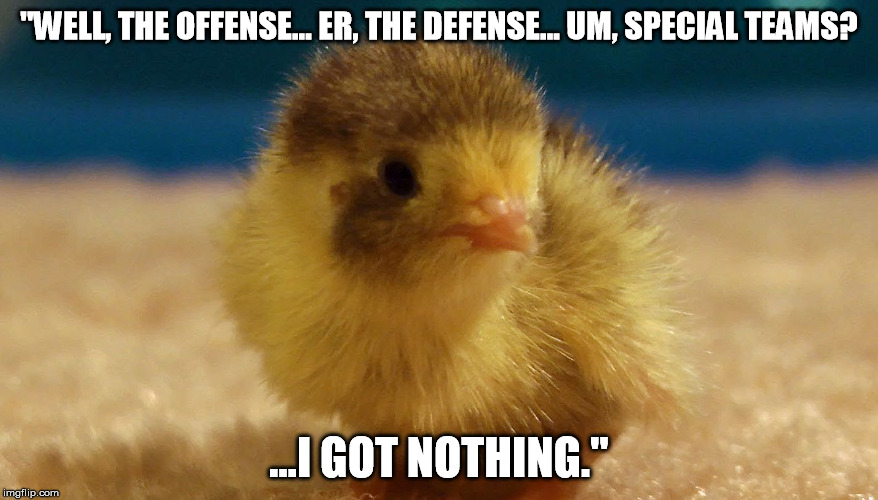 "WELL, THE OFFENSE... ER, THE DEFENSE... UM, SPECIAL TEAMS? ...I GOT NOTHING." | made w/ Imgflip meme maker