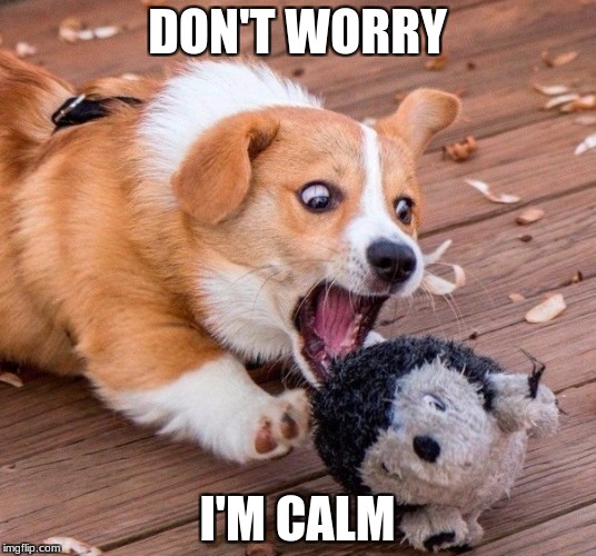 DON'T WORRY; I'M CALM | image tagged in funny memes | made w/ Imgflip meme maker