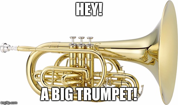 A Daily Life as a Melophone | HEY! A BIG TRUMPET! | image tagged in and everybody loses their minds | made w/ Imgflip meme maker