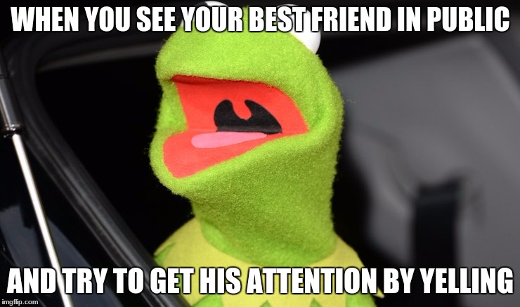 best friend | WHEN YOU SEE YOUR BEST FRIEND IN PUBLIC; AND TRY TO GET HIS ATTENTION BY YELLING | image tagged in kermit the frog | made w/ Imgflip meme maker