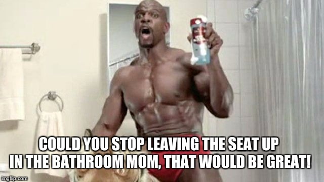 COULD YOU STOP LEAVING THE SEAT UP IN THE BATHROOM MOM, THAT WOULD BE GREAT! | image tagged in memes,funny,old spice,bathroom | made w/ Imgflip meme maker