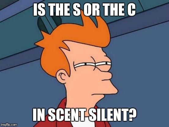 Futurama Fry Meme | IS THE S OR THE C; IN SCENT SILENT? | image tagged in memes,futurama fry | made w/ Imgflip meme maker