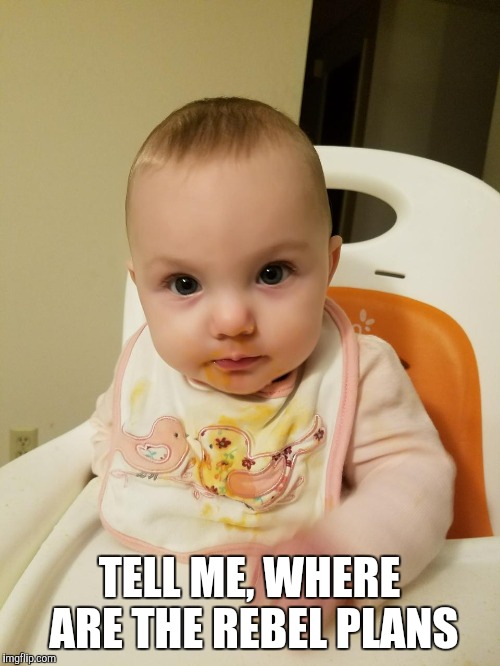 TELL ME, WHERE ARE THE REBEL PLANS | image tagged in star wars | made w/ Imgflip meme maker