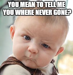 Skeptical Baby Meme | YOU MEAN TO TELL ME YOU WHERE NEVER GONE? | image tagged in memes,skeptical baby | made w/ Imgflip meme maker