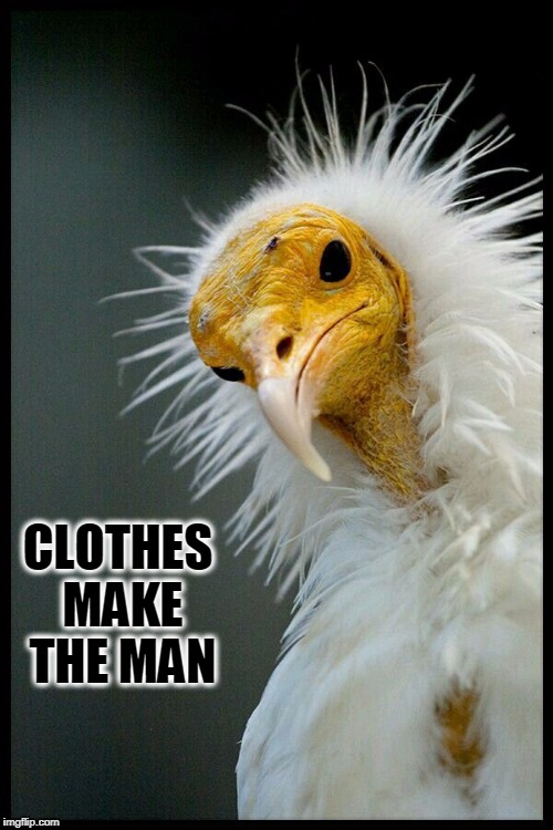 You Wanna Know my Secret? | CLOTHES MAKE THE MAN | image tagged in vince vance,ugly bird,white feathers,men,fashion,keeping up appearances | made w/ Imgflip meme maker