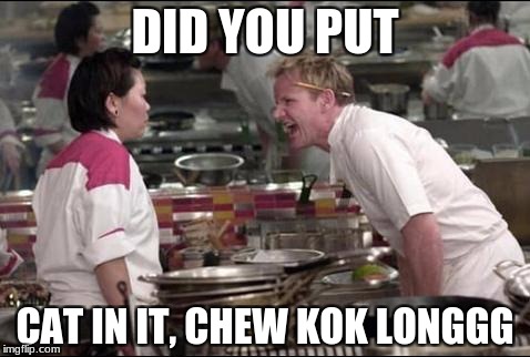 Angry Chef Gordon Ramsay | DID YOU PUT; CAT IN IT, CHEW KOK LONGGG | image tagged in memes,angry chef gordon ramsay | made w/ Imgflip meme maker
