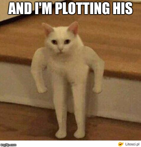 Buff Half Cat | AND I'M PLOTTING HIS | image tagged in buff half cat | made w/ Imgflip meme maker