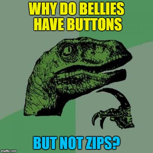 It's a conspiracy I tell ya :) | WHY DO BELLIES HAVE BUTTONS; BUT NOT ZIPS? | image tagged in memes,philosoraptor,belly button,zips | made w/ Imgflip meme maker