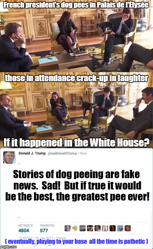 let's face it : the French have it better right now | French president's dog pees in Palais de l'Élysée; those in attendance crack-up in laughter; If it happened in the White House? Stories of dog peeing are fake news.  Sad!  But if true it would be the best, the greatest pee ever! ( eventually, playing to your base  all the time is pathetic ) | image tagged in memes,politics,trump,macron,france,dog | made w/ Imgflip meme maker