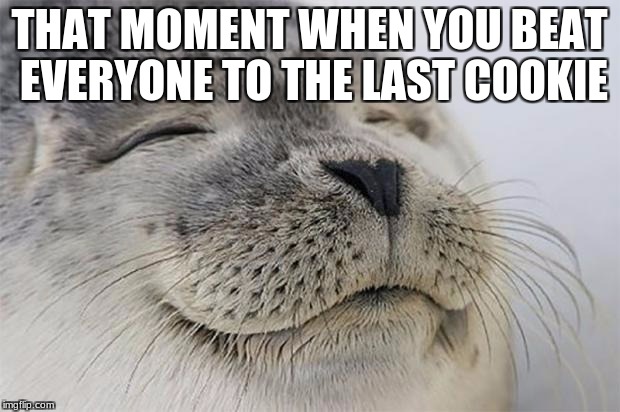 Satisfied Seal Meme | THAT MOMENT WHEN YOU BEAT EVERYONE TO THE LAST COOKIE | image tagged in memes,satisfied seal | made w/ Imgflip meme maker