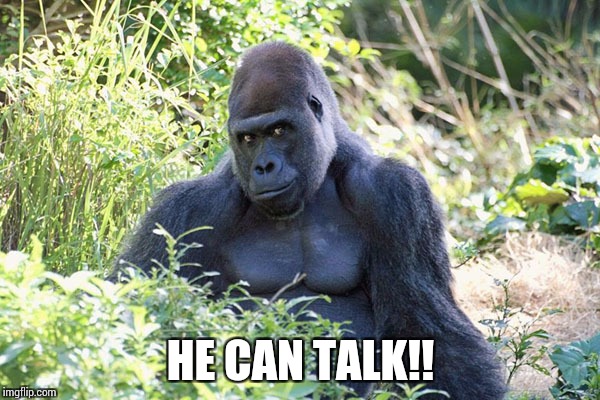HE CAN TALK!! | made w/ Imgflip meme maker