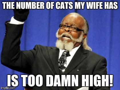 Too Damn High Meme | THE NUMBER OF CATS MY WIFE HAS; IS TOO DAMN HIGH! | image tagged in memes,too damn high | made w/ Imgflip meme maker