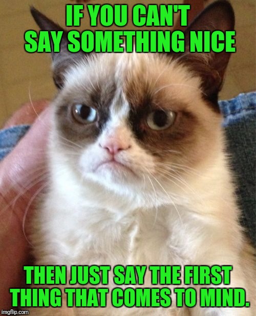 Works for me! | IF YOU CAN'T SAY SOMETHING NICE; THEN JUST SAY THE FIRST THING THAT COMES TO MIND. | image tagged in memes,grumpy cat,funny,thumper | made w/ Imgflip meme maker