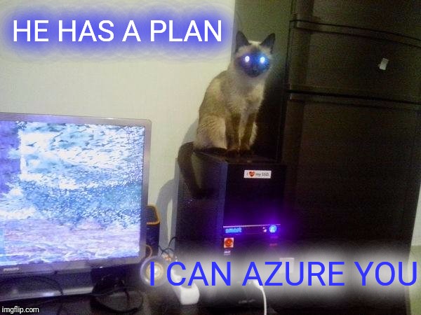 Internet Cat | HE HAS A PLAN I CAN AZURE YOU | image tagged in internet cat | made w/ Imgflip meme maker