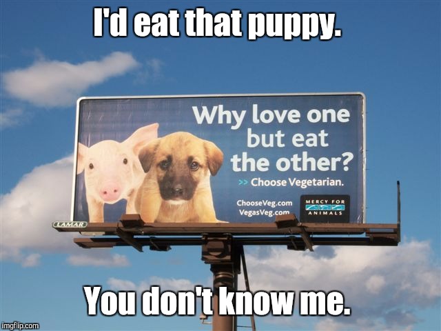 When something is your only option, you do what you gotta do.  | I'd eat that puppy. You don't know me. | image tagged in funny,vegetarian,puppies,eating | made w/ Imgflip meme maker