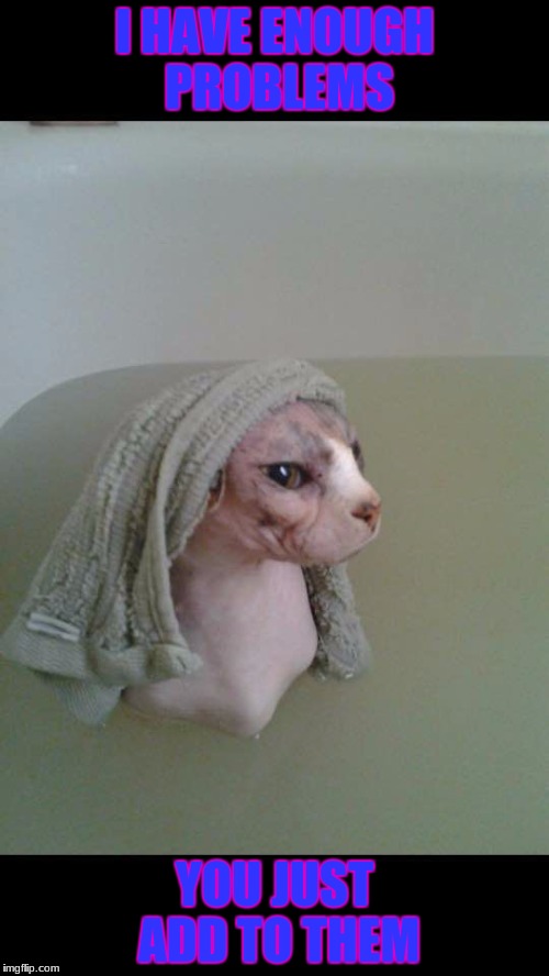 Hairless Cat Bath | I HAVE ENOUGH PROBLEMS; YOU JUST ADD TO THEM | image tagged in hairless cat bath | made w/ Imgflip meme maker