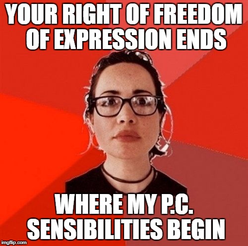 Liberal Douche Garofalo | YOUR RIGHT OF FREEDOM OF EXPRESSION ENDS; WHERE MY P.C. SENSIBILITIES BEGIN | image tagged in liberal douche garofalo | made w/ Imgflip meme maker