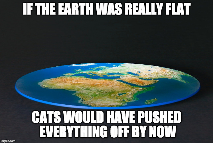 Checkmate! | IF THE EARTH WAS REALLY FLAT; CATS WOULD HAVE PUSHED EVERYTHING OFF BY NOW | image tagged in flat earth,cats,meow,iwanttobebacon | made w/ Imgflip meme maker