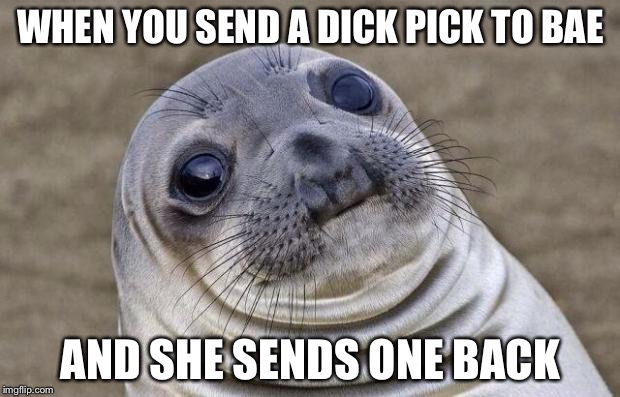 Awkward Moment Sealion | WHEN YOU SEND A DICK PICK TO BAE; AND SHE SENDS ONE BACK | image tagged in memes,awkward moment sealion | made w/ Imgflip meme maker