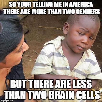 Third World Skeptical Kid Meme | SO YOUR TELLING ME IN AMERICA THERE ARE MORE THAN TWO GENDERS; BUT THERE ARE LESS THAN TWO BRAIN CELLS | image tagged in memes,third world skeptical kid | made w/ Imgflip meme maker
