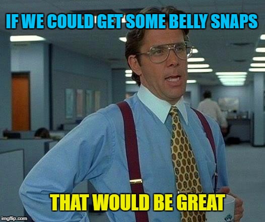 That Would Be Great Meme | IF WE COULD GET SOME BELLY SNAPS THAT WOULD BE GREAT | image tagged in memes,that would be great | made w/ Imgflip meme maker