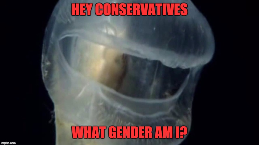 HEY CONSERVATIVES WHAT GENDER AM I? | made w/ Imgflip meme maker