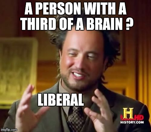 Ancient Aliens Meme | A PERSON WITH A THIRD OF A BRAIN ? LIBERAL | image tagged in memes,ancient aliens | made w/ Imgflip meme maker