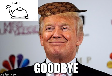 Donald trump approves | GOODBYE | image tagged in donald trump approves,scumbag | made w/ Imgflip meme maker