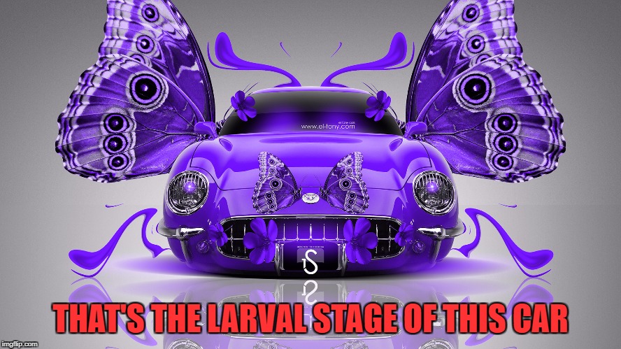 THAT'S THE LARVAL STAGE OF THIS CAR | made w/ Imgflip meme maker