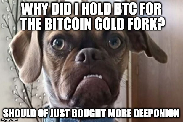 WHY DID I HOLD BTC FOR THE BITCOIN GOLD FORK? SHOULD OF JUST BOUGHT MORE DEEPONION | made w/ Imgflip meme maker