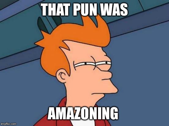 Futurama Fry Meme | THAT PUN WAS AMAZONING | image tagged in memes,futurama fry | made w/ Imgflip meme maker