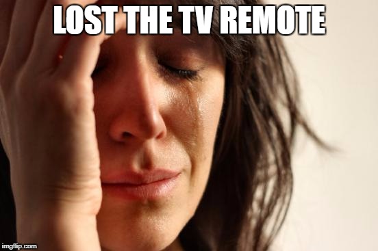 First World Problems Meme | LOST THE TV REMOTE | image tagged in memes,first world problems | made w/ Imgflip meme maker