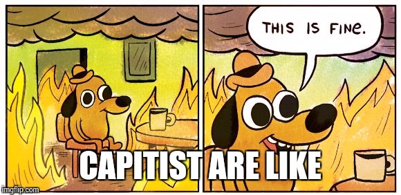 This Is Fine | CAPITIST ARE LIKE | image tagged in this is fine dog | made w/ Imgflip meme maker