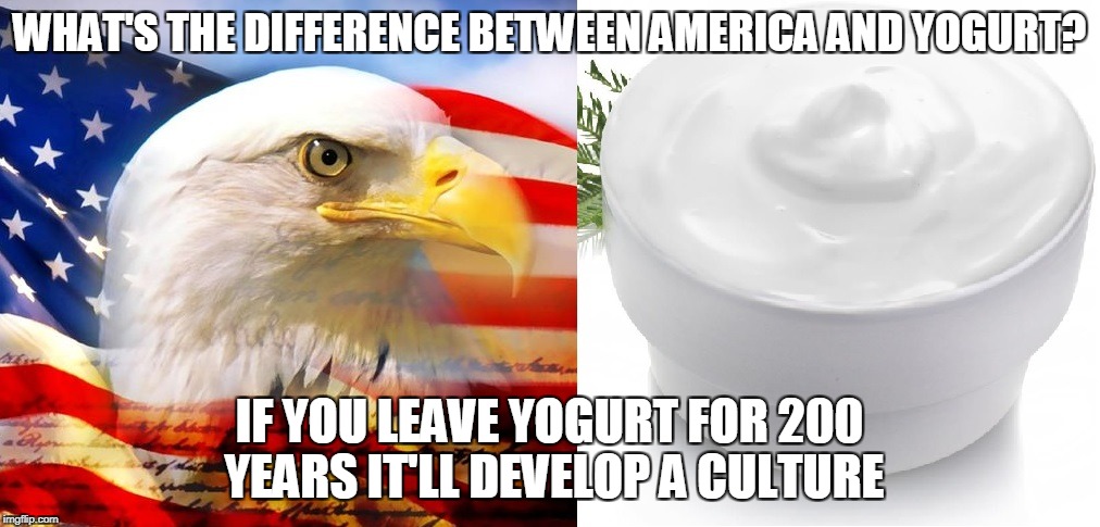 WHAT'S THE DIFFERENCE BETWEEN AMERICA AND YOGURT? IF YOU LEAVE YOGURT FOR 200 YEARS IT'LL DEVELOP A CULTURE | image tagged in america,american flag,yogurt | made w/ Imgflip meme maker