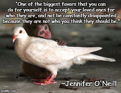 Unconditional Love | “One of the biggest favors that you can do for yourself is to accept your loved ones for who they are, and not be constantly disappointed because they are not who you think they should be.”; ~Jennifer O'Neill | image tagged in jennifer o'neill,acceptance,monkey,dove,peace | made w/ Imgflip meme maker