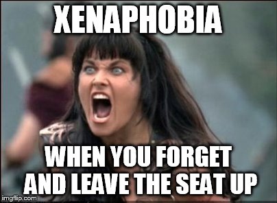 xenaphobia | XENAPHOBIA; WHEN YOU FORGET AND LEAVE THE SEAT UP | image tagged in xena | made w/ Imgflip meme maker