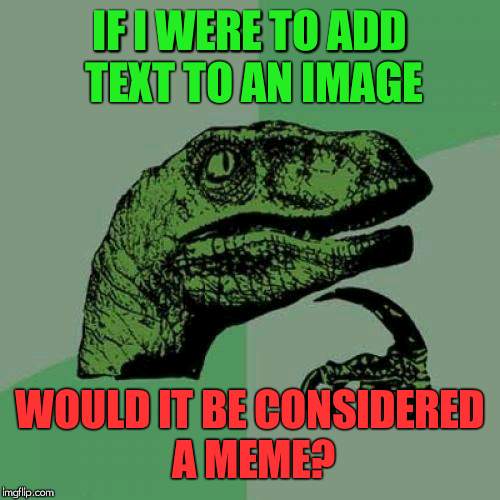 Philosoraptor Meme | IF I WERE TO ADD TEXT TO AN IMAGE; WOULD IT BE CONSIDERED A MEME? | image tagged in memes,philosoraptor | made w/ Imgflip meme maker