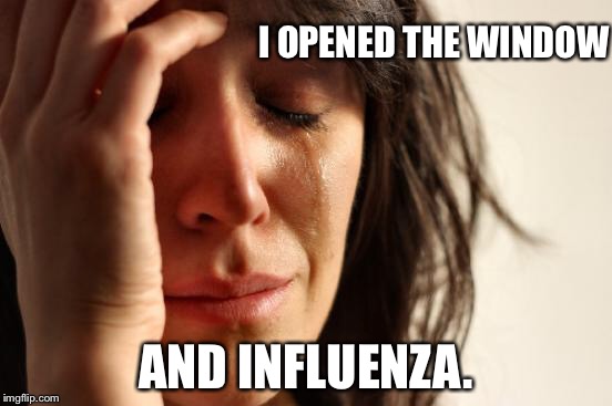First World Problems Meme | I OPENED THE WINDOW; AND INFLUENZA. | image tagged in memes,first world problems | made w/ Imgflip meme maker