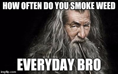 Clever Gandalf | HOW OFTEN DO YOU SMOKE WEED; EVERYDAY BRO | image tagged in clever gandalf | made w/ Imgflip meme maker