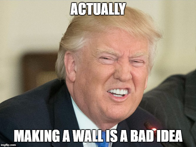 Actually, making a wall is a bad idea | ACTUALLY; MAKING A WALL IS A BAD IDEA | image tagged in trump,wall,america | made w/ Imgflip meme maker