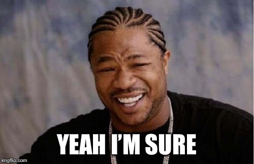 Yo Dawg Heard You Meme | YEAH I’M SURE | image tagged in memes,yo dawg heard you | made w/ Imgflip meme maker