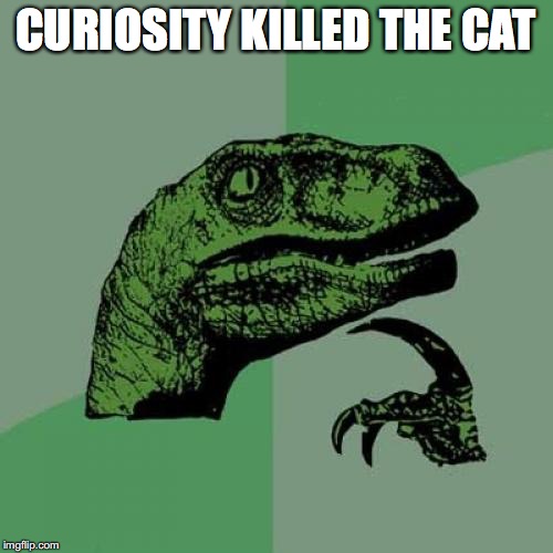 Philosoraptor Meme | CURIOSITY KILLED THE CAT | image tagged in memes,philosoraptor | made w/ Imgflip meme maker