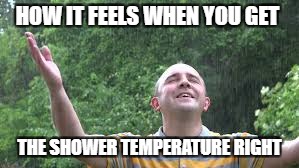 The right Temperature | HOW IT FEELS WHEN YOU GET; THE SHOWER TEMPERATURE RIGHT | image tagged in shower,joy,bliss,happiness,relaxing,shower thoughts | made w/ Imgflip meme maker