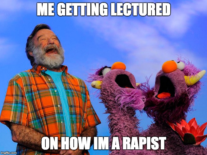 Robin Sesame Street | ME GETTING LECTURED; ON HOW IM A RAPIST | image tagged in robin sesame street | made w/ Imgflip meme maker