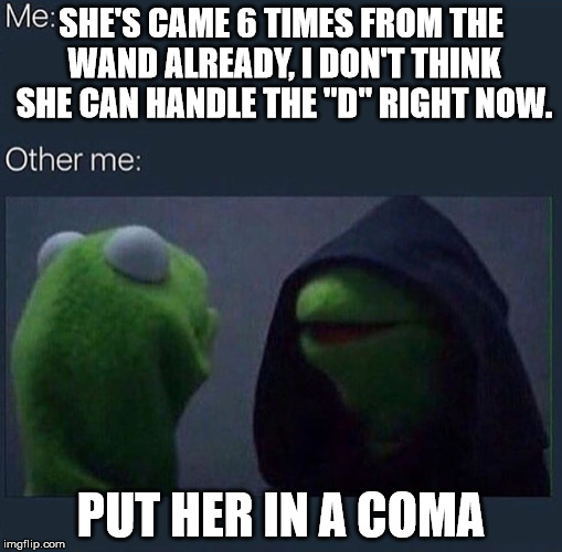 Evil Kermit | SHE'S CAME 6 TIMES FROM THE WAND ALREADY, I DON'T THINK SHE CAN HANDLE THE "D" RIGHT NOW. PUT HER IN A COMA | image tagged in evil kermit | made w/ Imgflip meme maker